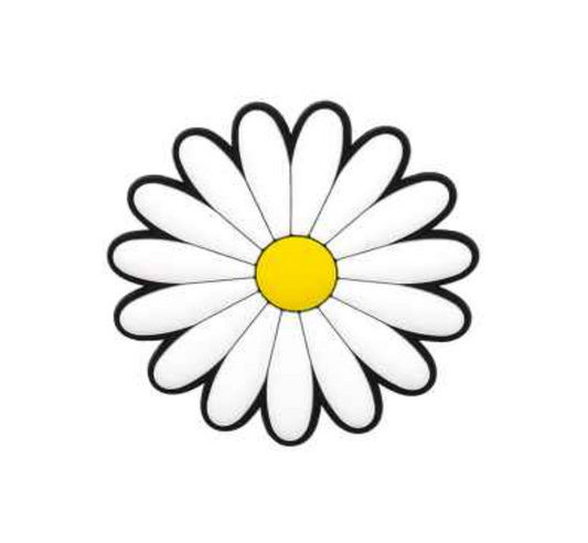 Marguerite daisy